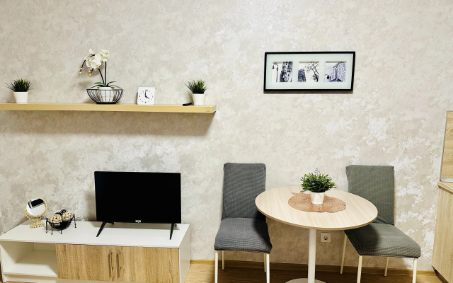 Квартира Видовая студия в Приморском районе