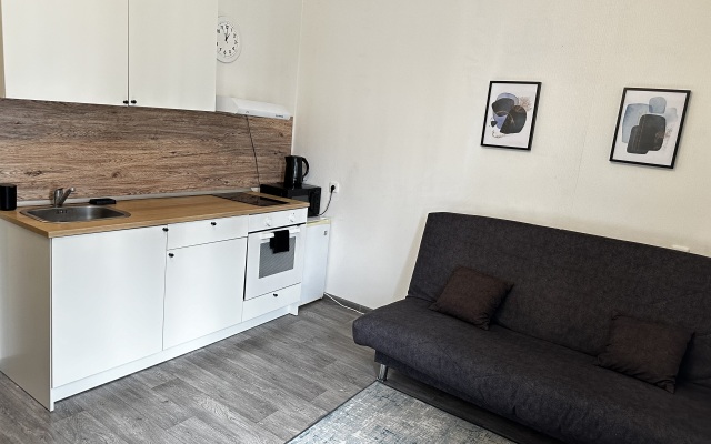 Evo Park Tsentr Goroda Flat