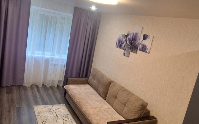 Квартира 2-х Комнатная на Советской Конституции 11