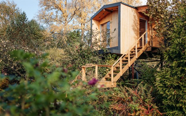 Dom na dereve Guest house