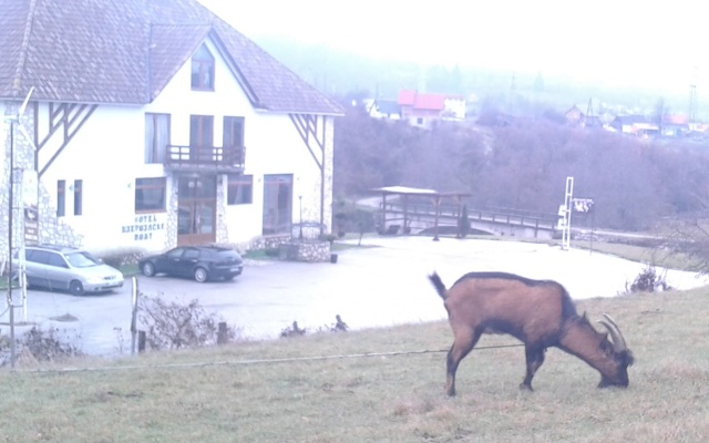Devochkin Most Guest House