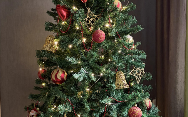 Апартаменты 2 спальни в центре