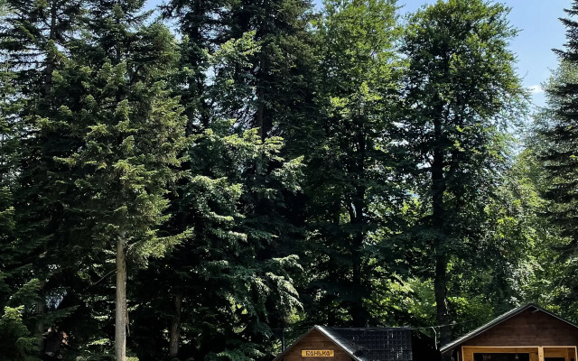 База отдыха Forest Yard