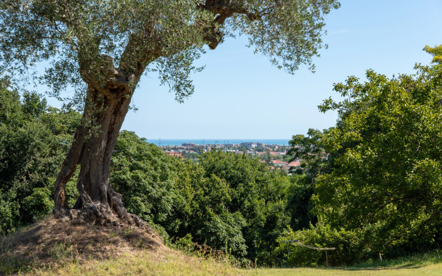 Вилла Monacelli