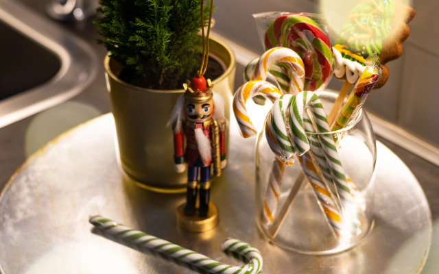 Апартаменты Кукушкин Лен у Охта Парка