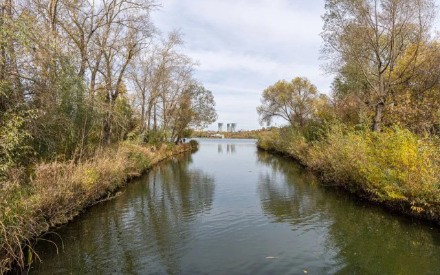 Studio Lake