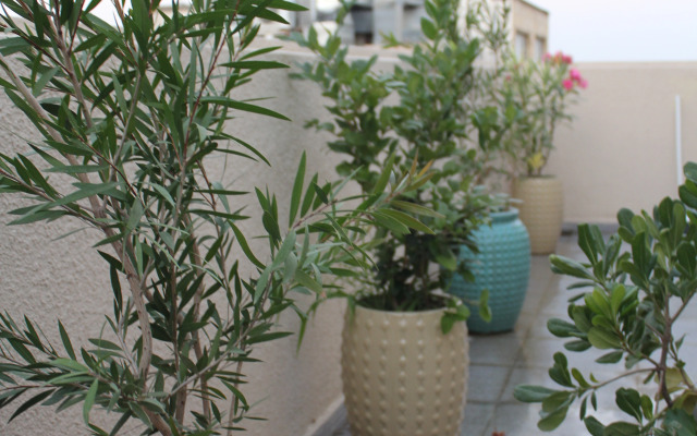 Old Baku Boutique Hotel