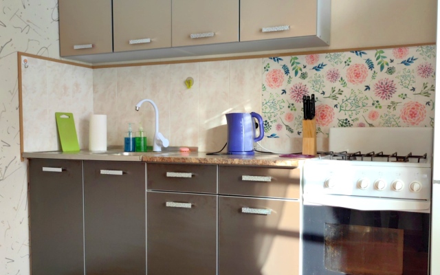 Uyutnaya kvartira komfort-klassa dlya gostey goroda Apartments