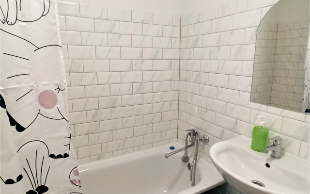 Near Almazov center 1 Flat
