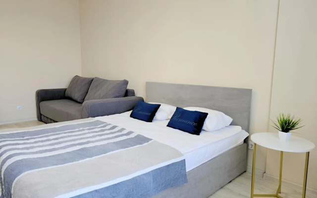 Zaselyajsya Flat