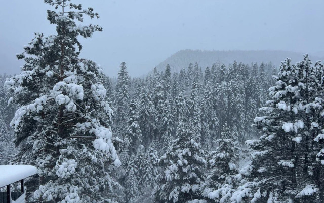 Wood Berg Recreation camp