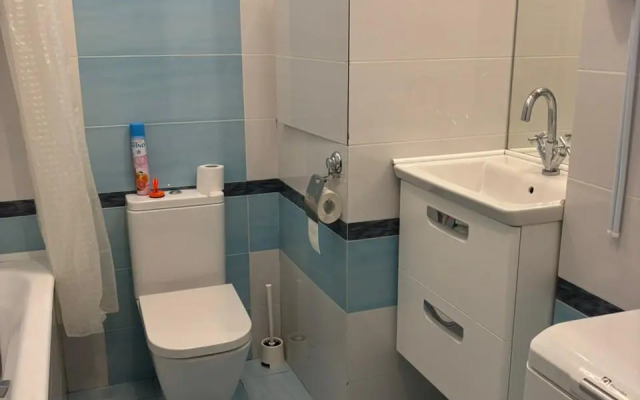 Апартаменты Maxi Двухкомнатные на Бородинском