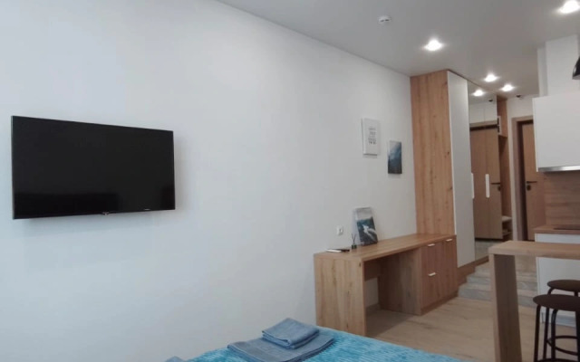 Апартаменты на Набережной Толстого, 41, номер 5