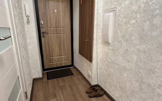 Ryadom Avtovokzalom Apartments