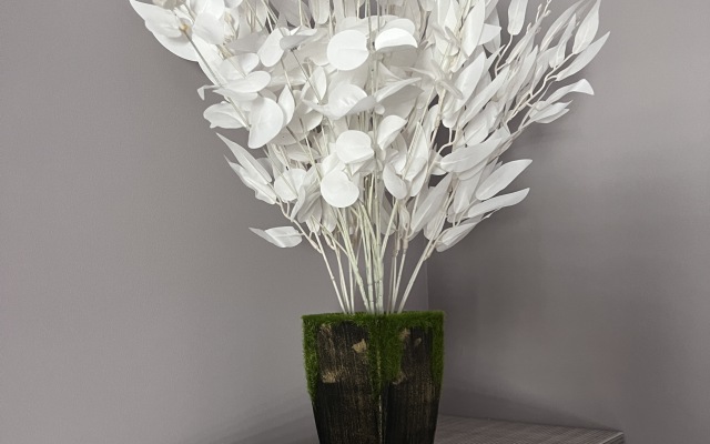 Apartamenty 10 na Krasnoy 5