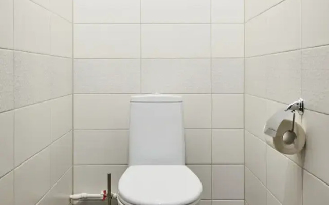 Vau Na Beregu Nevy Vasilyevskiy Ostrov Flat