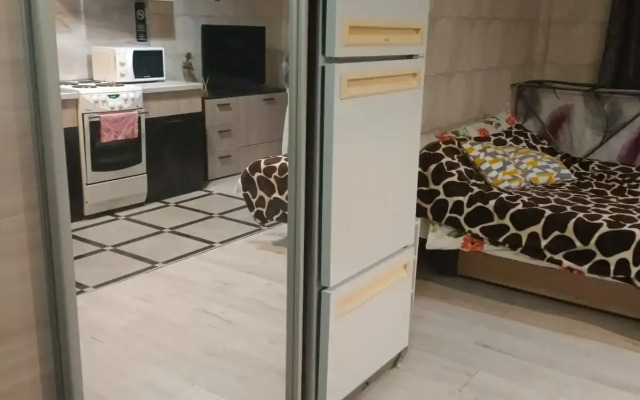 Квартира студия на Лермонтова 10к3