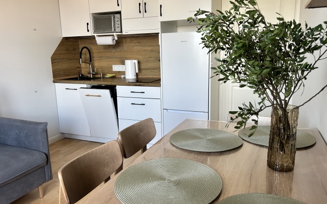 Квартира Сканди однокомнатные Piter Apartments с кондиционером