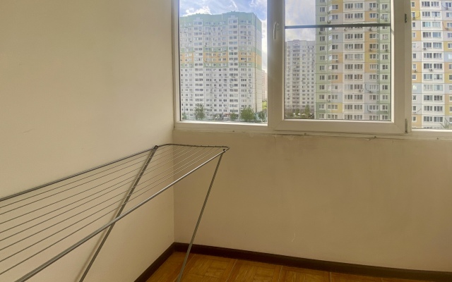 Semya ryadom s Sheremetyevo Flat
