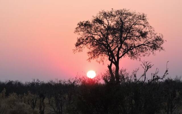 Elephant Trail Guesthouse and Backpackers Hostel