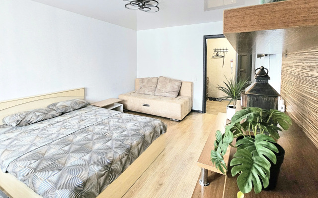 Odnokomnatnaya Flat