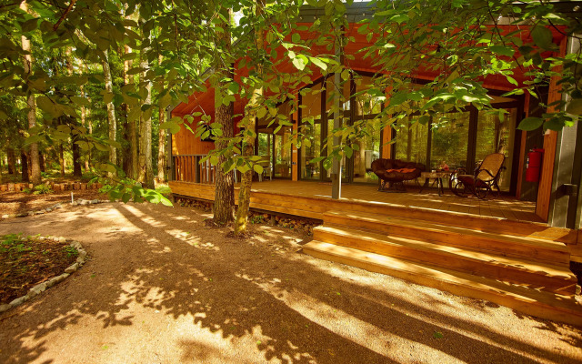 Bolshaya Repinskaya Dacha v Lesu Private House
