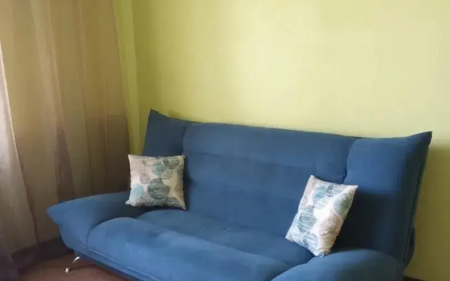 Квартира С Видом На Волгу И Фонтан Дружбы Народов