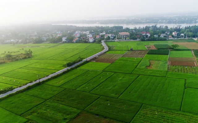 Отель Hoian Field Villa and Spa