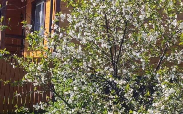 Частный дом Рифей