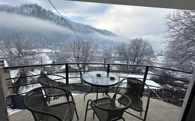 Mini hotel Green Villa Tsaghveri