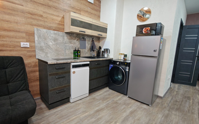 Dvukhkomnatnye Lyuks V Tsentre Abakana Apartments