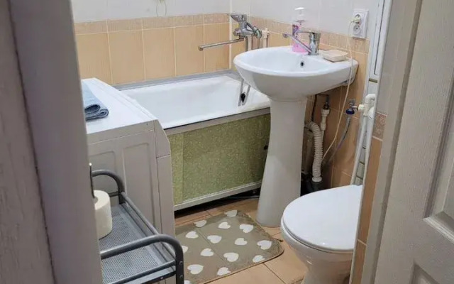 Na Prospekte Lenina 17 Apartments