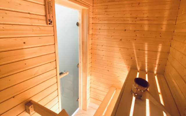 Ladoga Dreams S Saunoy Guest house