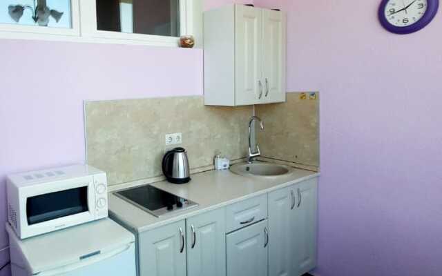 Апартаменты Чистые Пруды