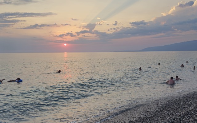Dve Palmyij