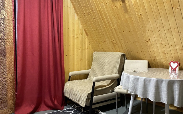 Частный дом на Пограничном переулке 3А (4)