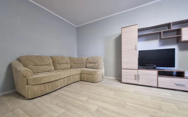 Na Radischeva  Flat