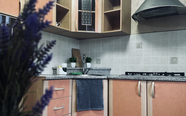 Апартаменты Студия на Ленина 165