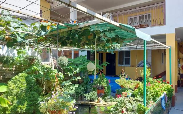 Green Zone Guest House