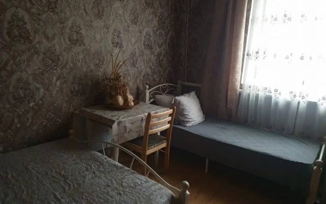 Na Tolstogo 13 Guest House