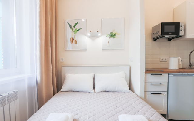 Апартаменты Дзен