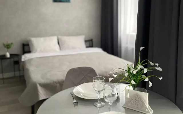 Квартира Уютная Студия в Затоне