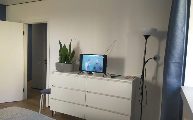V Tsentre Goroda Flat