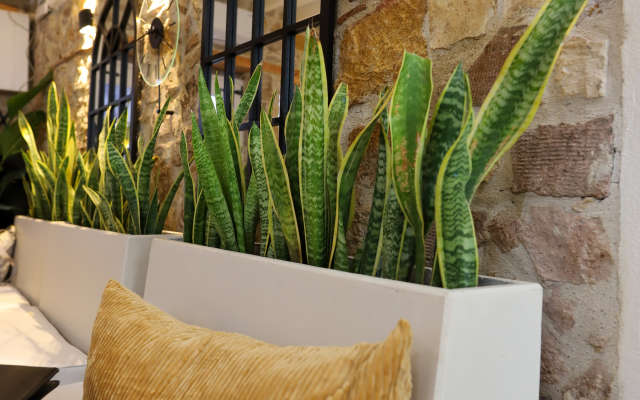 Lilla Maria Guesthouse Boutique hotel