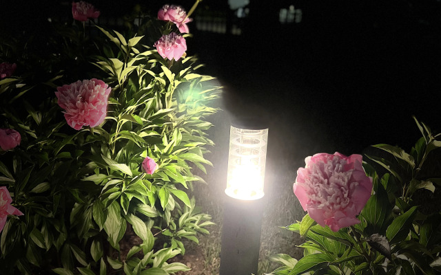 Гостевой дом Мон Плезир Химки