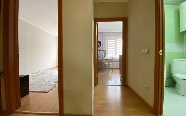 Uyutnaya Dvushka na Lenina-Purkaeva Flat