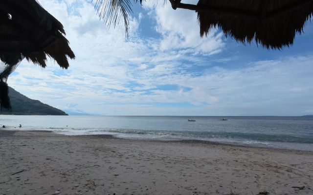 Отель FreeDive Inn