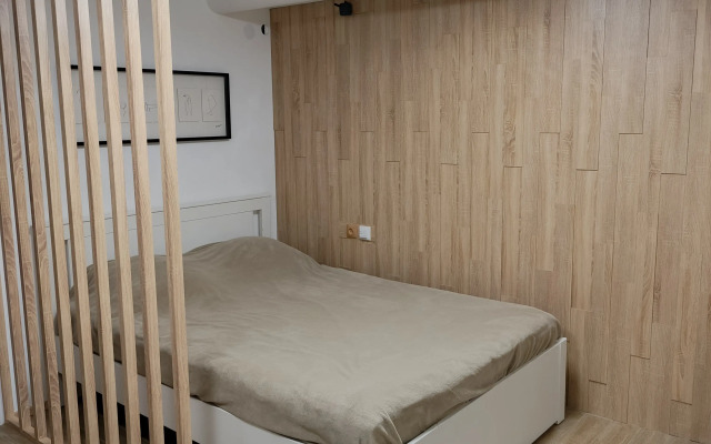 Квартира Студия с видом на Машук