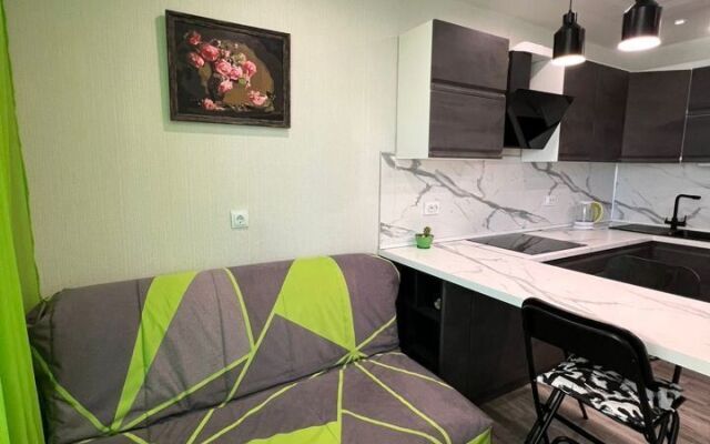 Квартира Писателя Знаменского 25/1