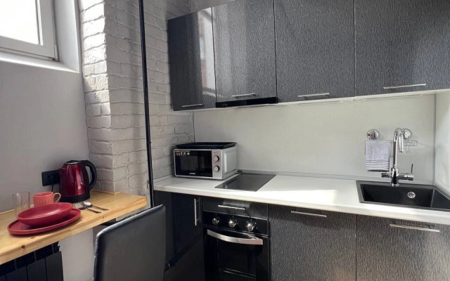 Apartamenty Uyutnaya studiya Grey Cat u Naberezhnoj reki Yauzy